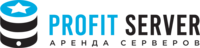 Логотип ProfitServer