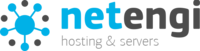 Логотип NetEngi
