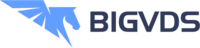 Логотип BigVDS